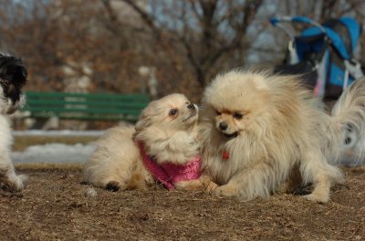 Mar11_07_713.JPG