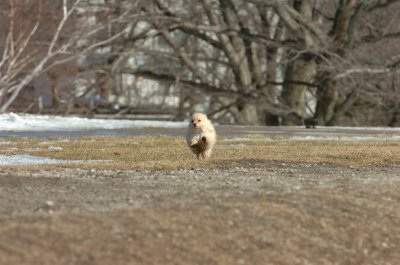 Mar11_07_720.JPG