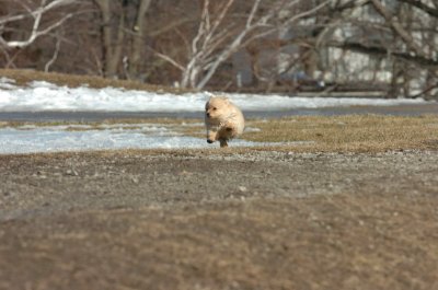 Mar11_07_721.JPG