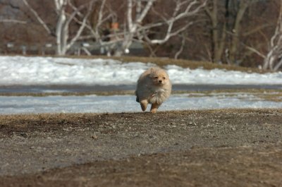 Mar11_07_723.JPG