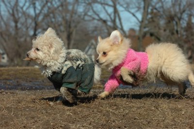Mar11_07_737.JPG