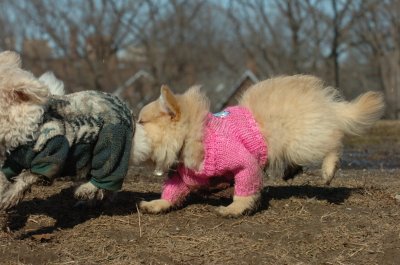 Mar11_07_739.JPG