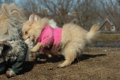 Mar11_07_740.JPG