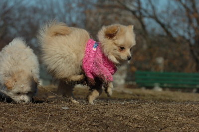 Mar11_07_754.JPG