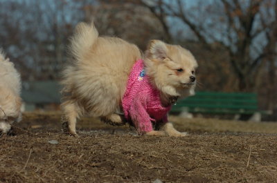 Mar11_07_755.JPG