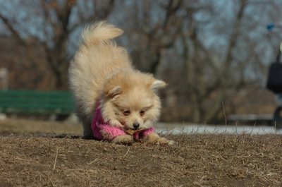 Mar11_07_758.JPG