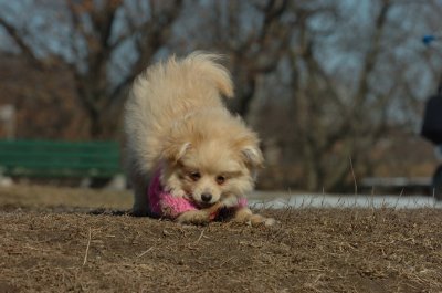 Mar11_07_759.JPG