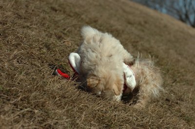 Mar11_07_768.JPG
