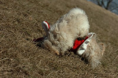 Mar11_07_770.JPG