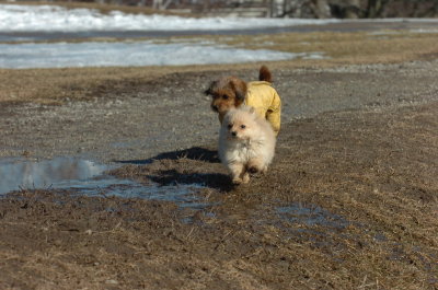 Mar11_07_797.JPG