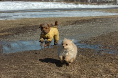Mar11_07_798.JPG