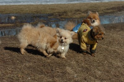 Mar11_07_799.JPG