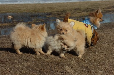 Mar11_07_801.JPG