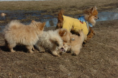 Mar11_07_803.JPG