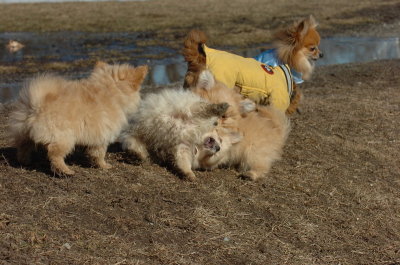 Mar11_07_804.JPG