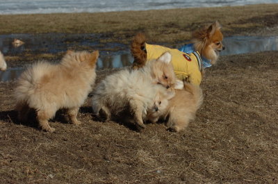 Mar11_07_805.JPG