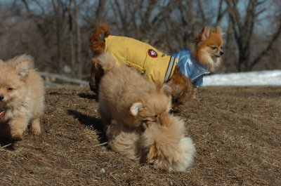 Mar11_07_806.JPG