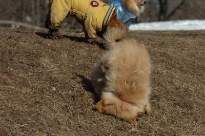 Mar11_07_808.JPG