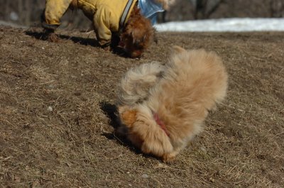 Mar11_07_809.JPG