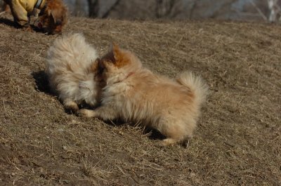 Mar11_07_811.JPG