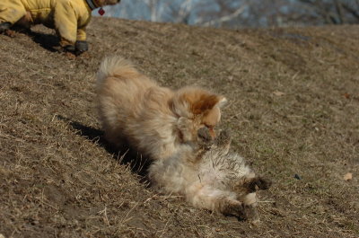 Mar11_07_814.JPG