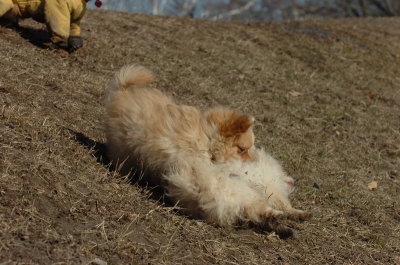 Mar11_07_815.JPG