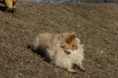 Mar11_07_816.JPG