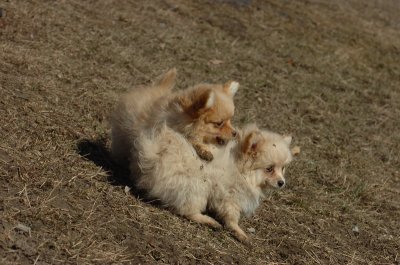 Mar11_07_818.JPG