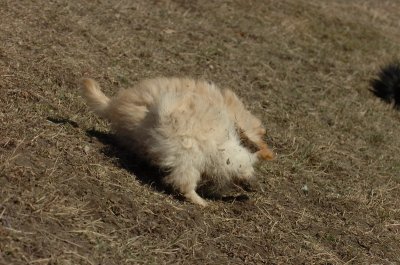 Mar11_07_820.JPG