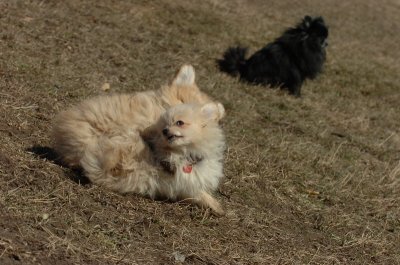 Mar11_07_824.JPG