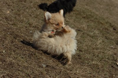 Mar11_07_826.JPG