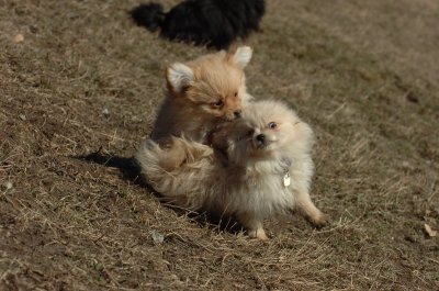Mar11_07_828.JPG