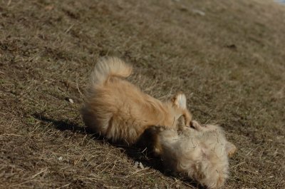 Mar11_07_830.JPG
