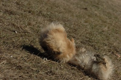 Mar11_07_831.JPG