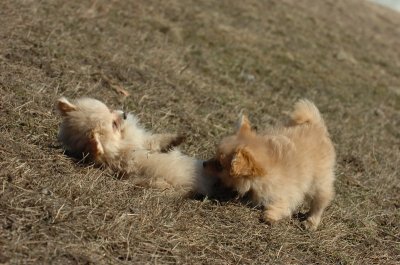 Mar11_07_832.JPG