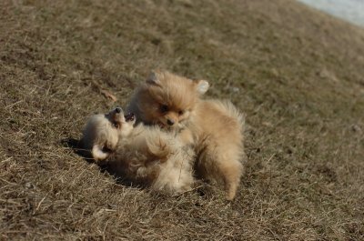 Mar11_07_834.JPG
