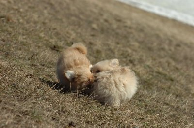Mar11_07_835.JPG