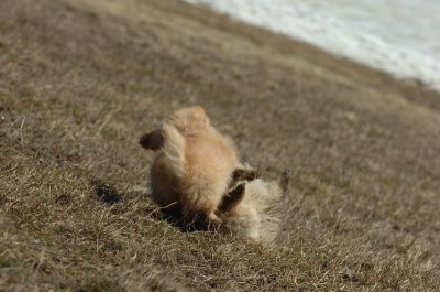 Mar11_07_836.JPG