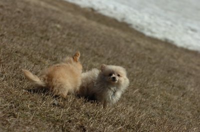 Mar11_07_837.JPG