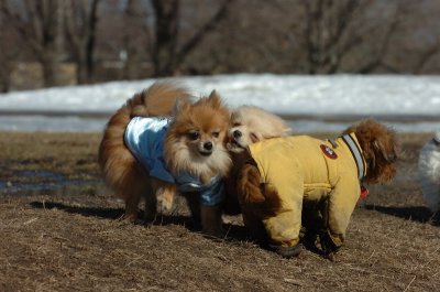Mar11_07_838.JPG