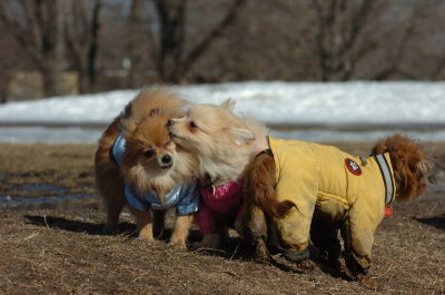 Mar11_07_840.JPG