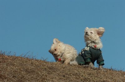 Mar11_07_570.JPG