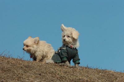 Mar11_07_574.JPG