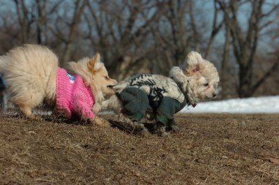 Mar11_07_603.JPG