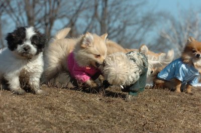 Mar11_07_607.JPG
