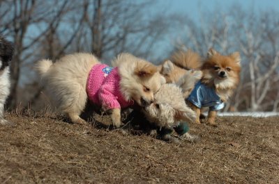 Mar11_07_609.JPG
