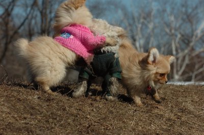 Mar11_07_610.JPG