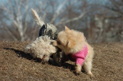 Mar11_07_616.JPG