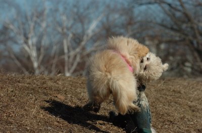 Mar11_07_619.JPG