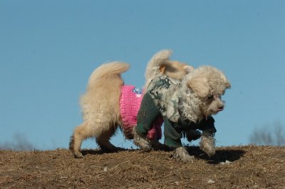 Mar11_07_639.JPG